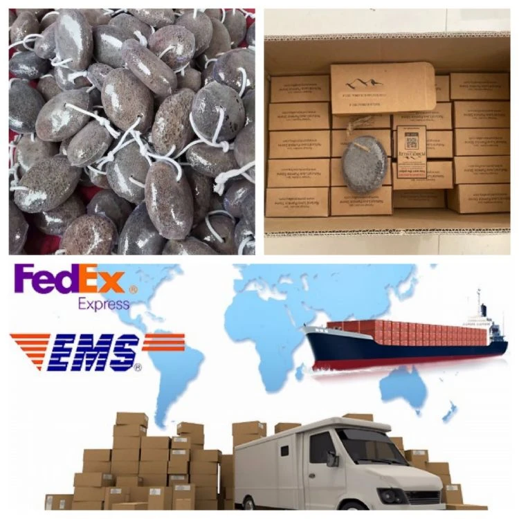 product-750-750 product-750-750